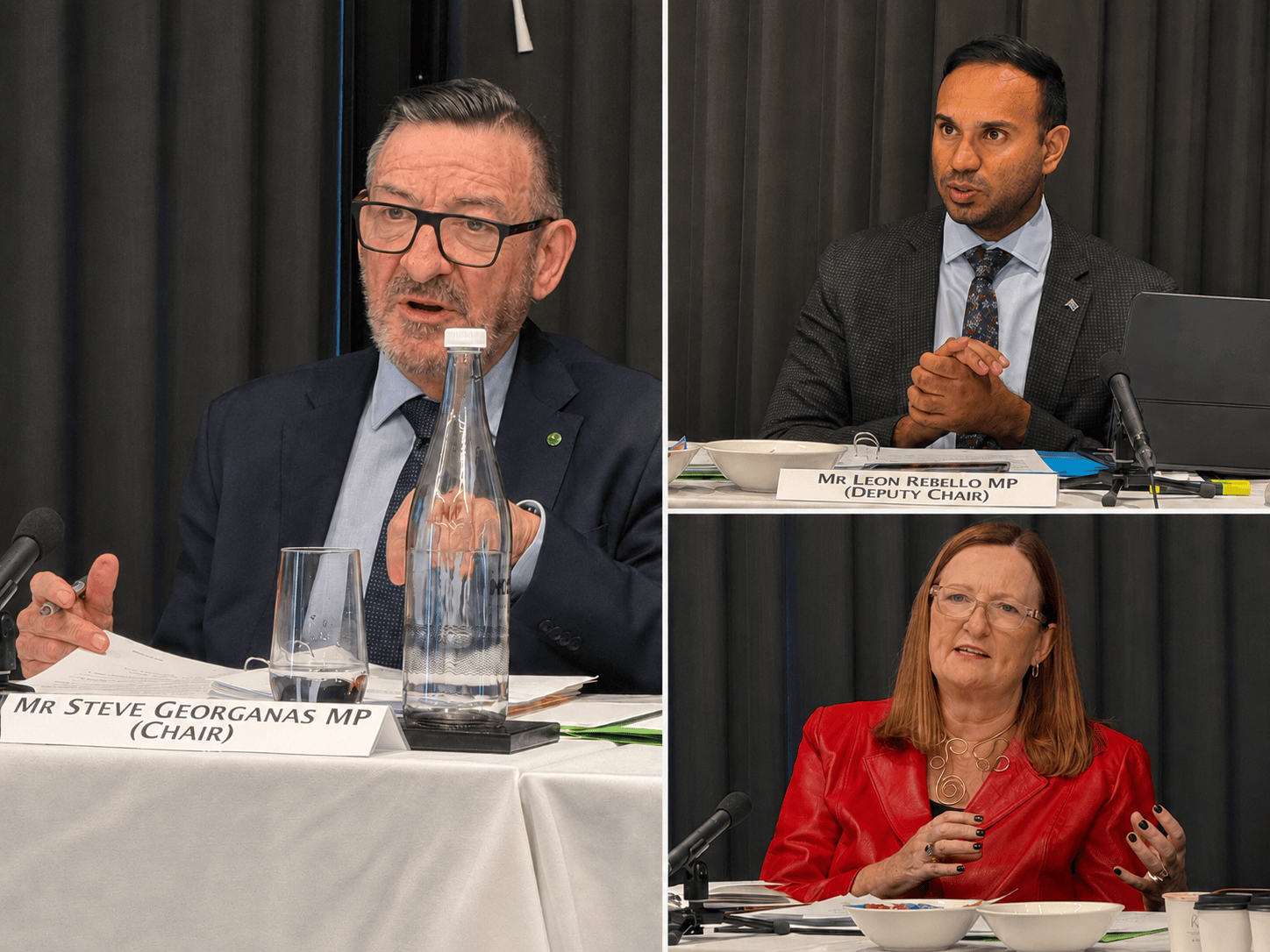 Joint Standing Committee on Migration 1