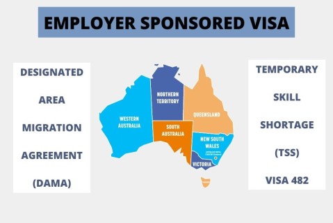 The difference between TSS 482 (Medium and Short term) vs DAMA program