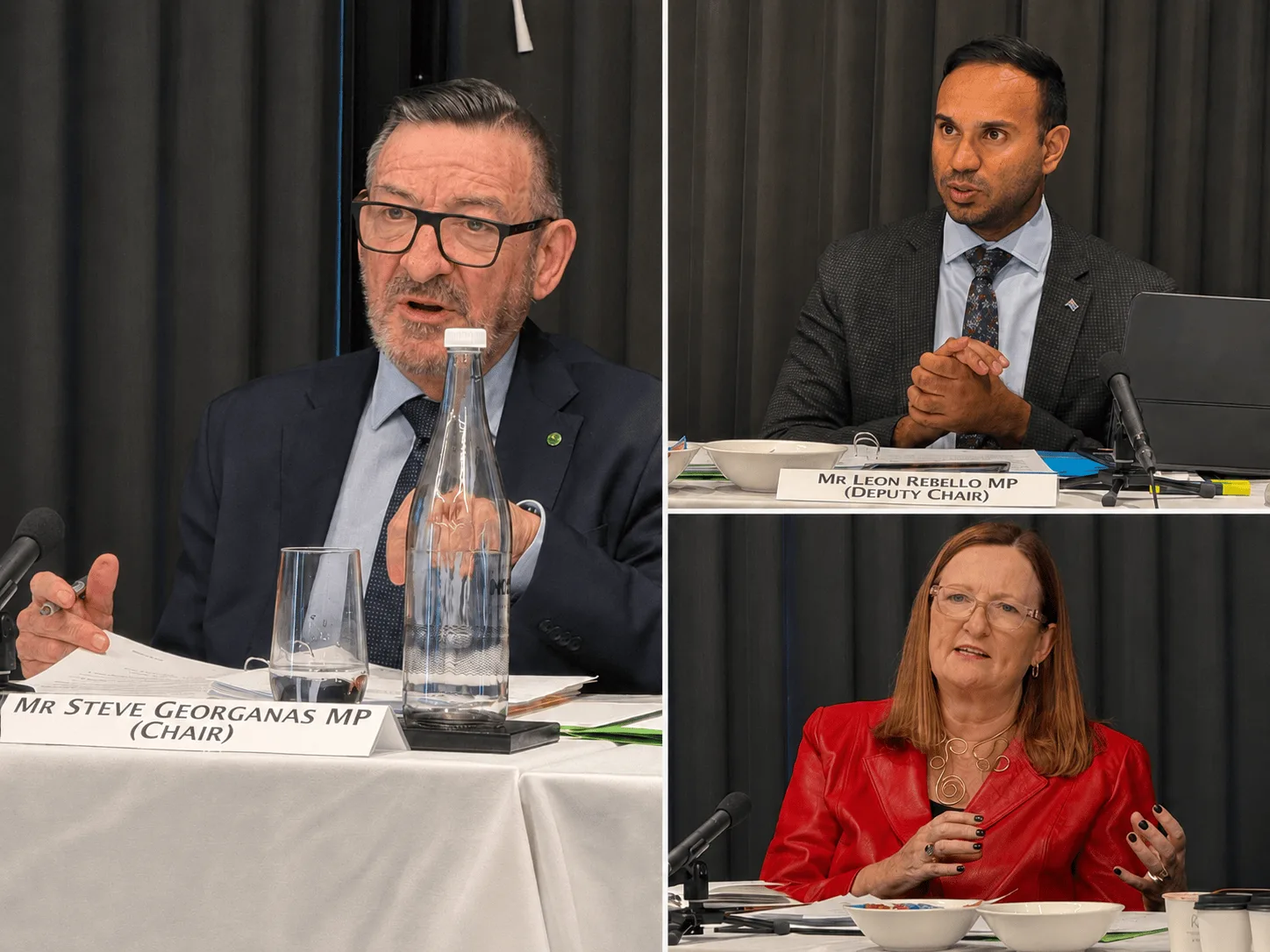 Joint Standing Committee on Migration 1